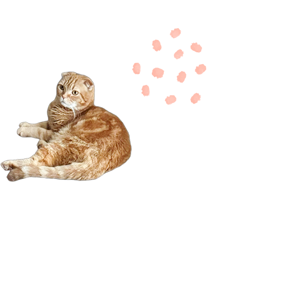 施術の様子