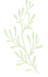 葉っぱの装飾